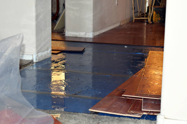 Professional Burst Pipe Cleanup technician working in Wantagh, NY